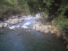 Swinging Bridges